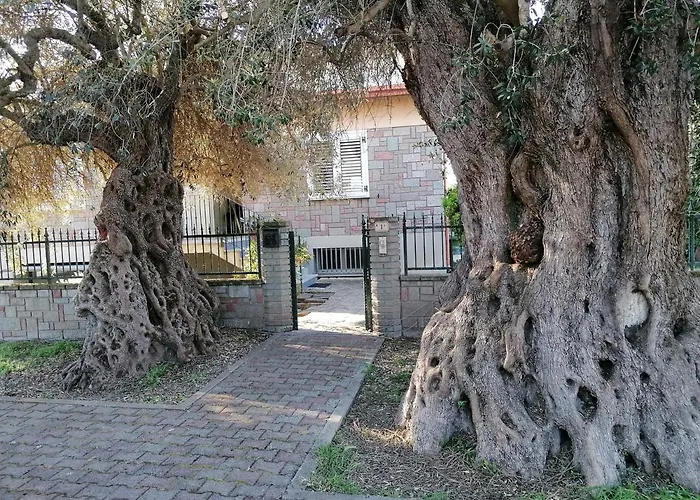 La Casa Degli Ulivi