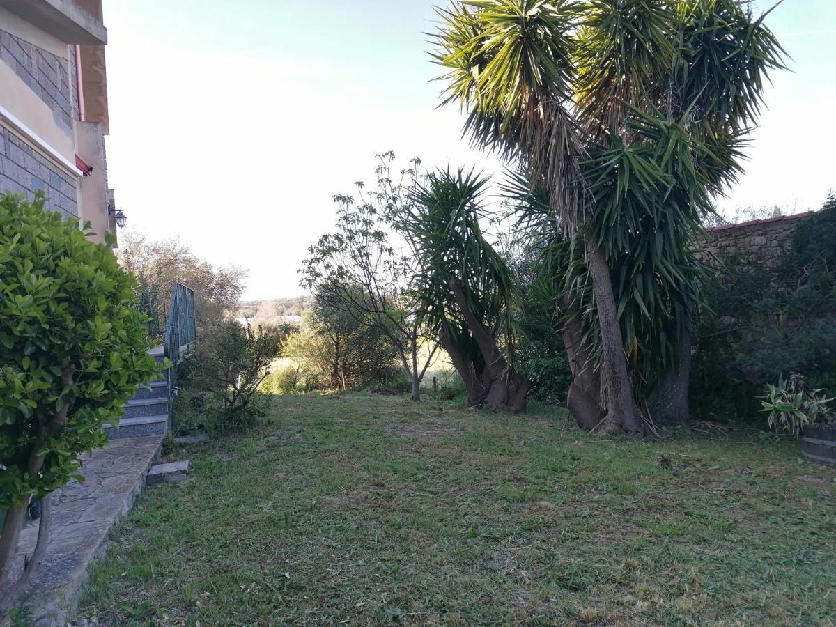 Apartment La Casa Degli Ulivi Turri